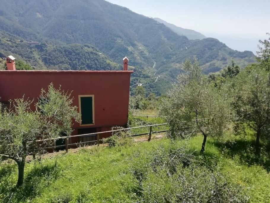 Quiet And Cozy Home With Wi-Fi Casa Prearino Vernazza Zewnętrze zdjęcie